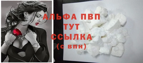 apvp Алзамай